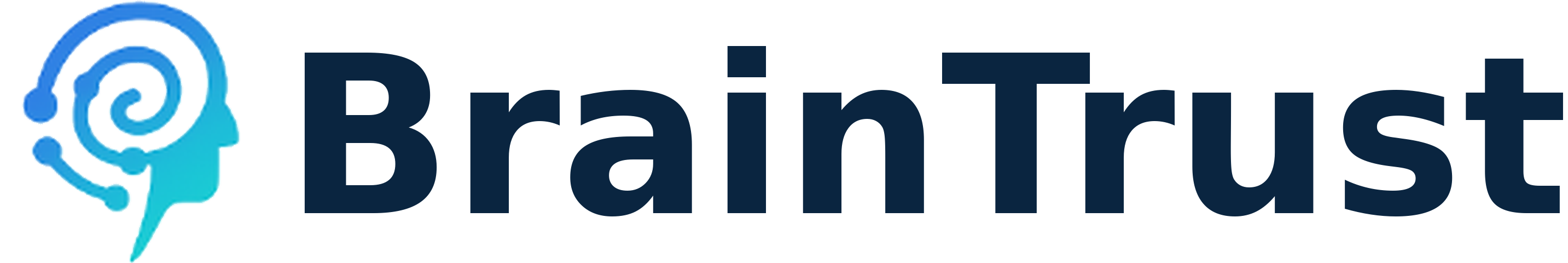 BrainTrust Logo